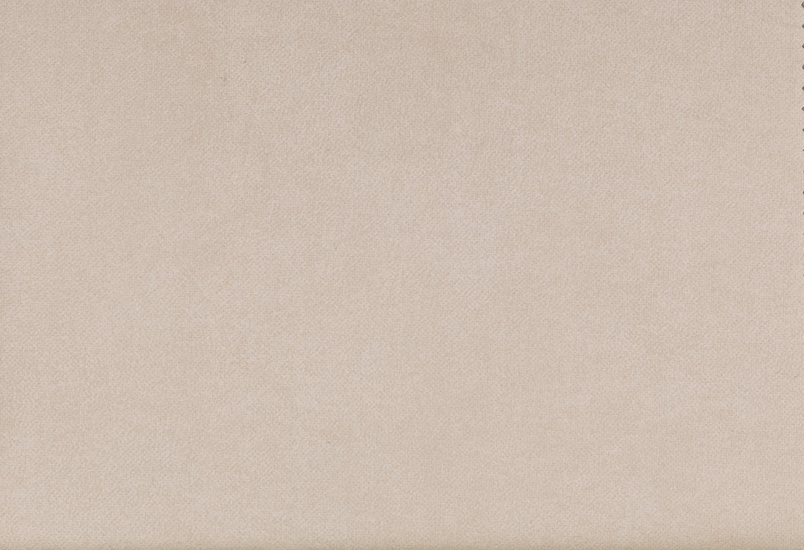 Zeppelin Lion Fabrics