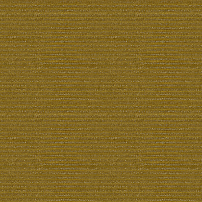 Olio