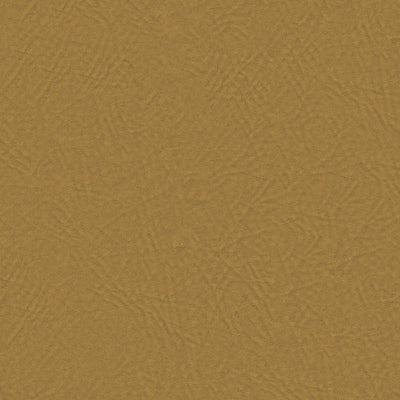 Atakama