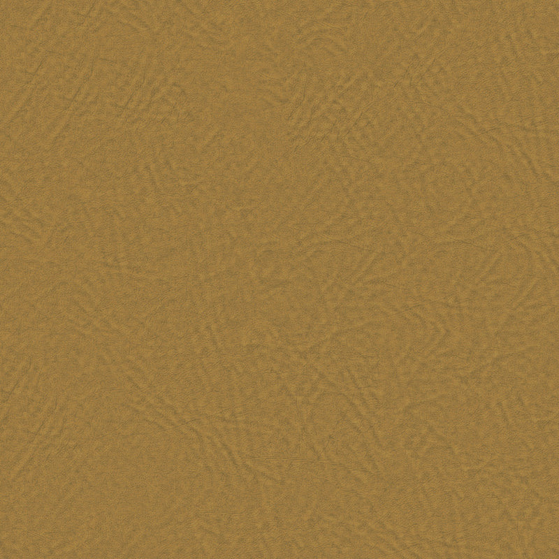 Atakama