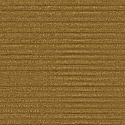 Olio