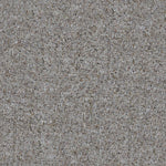 Rhapsody 103 - Chenille Collection