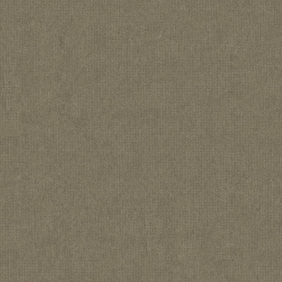 TERRA NEW