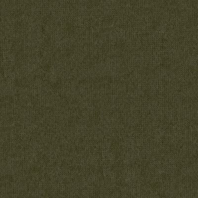 TERRA NEW