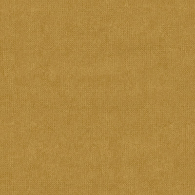 TERRA NEW