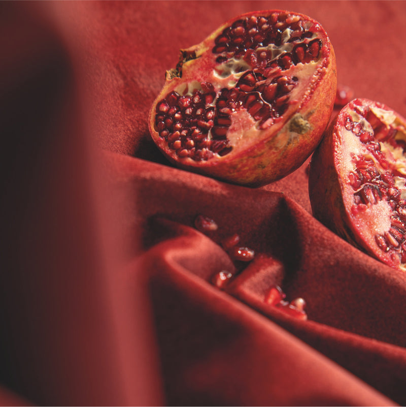 Europa 101 PANTONE 15-1306 TCX / Oxford Tan